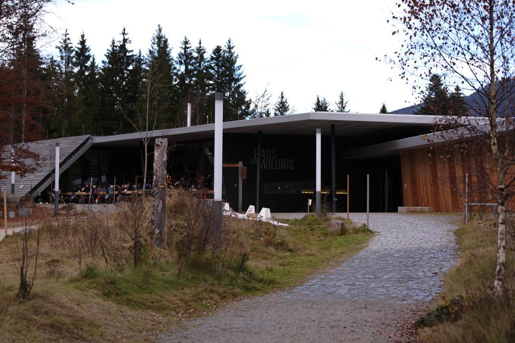 Ferienwohnung Im Landhaus Am Nationalpark Ludwigsthal Exterior photo