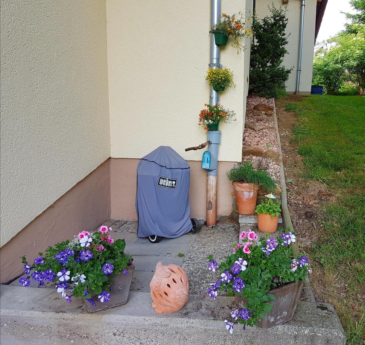 Ferienwohnung Im Landhaus Am Nationalpark Ludwigsthal Exterior photo